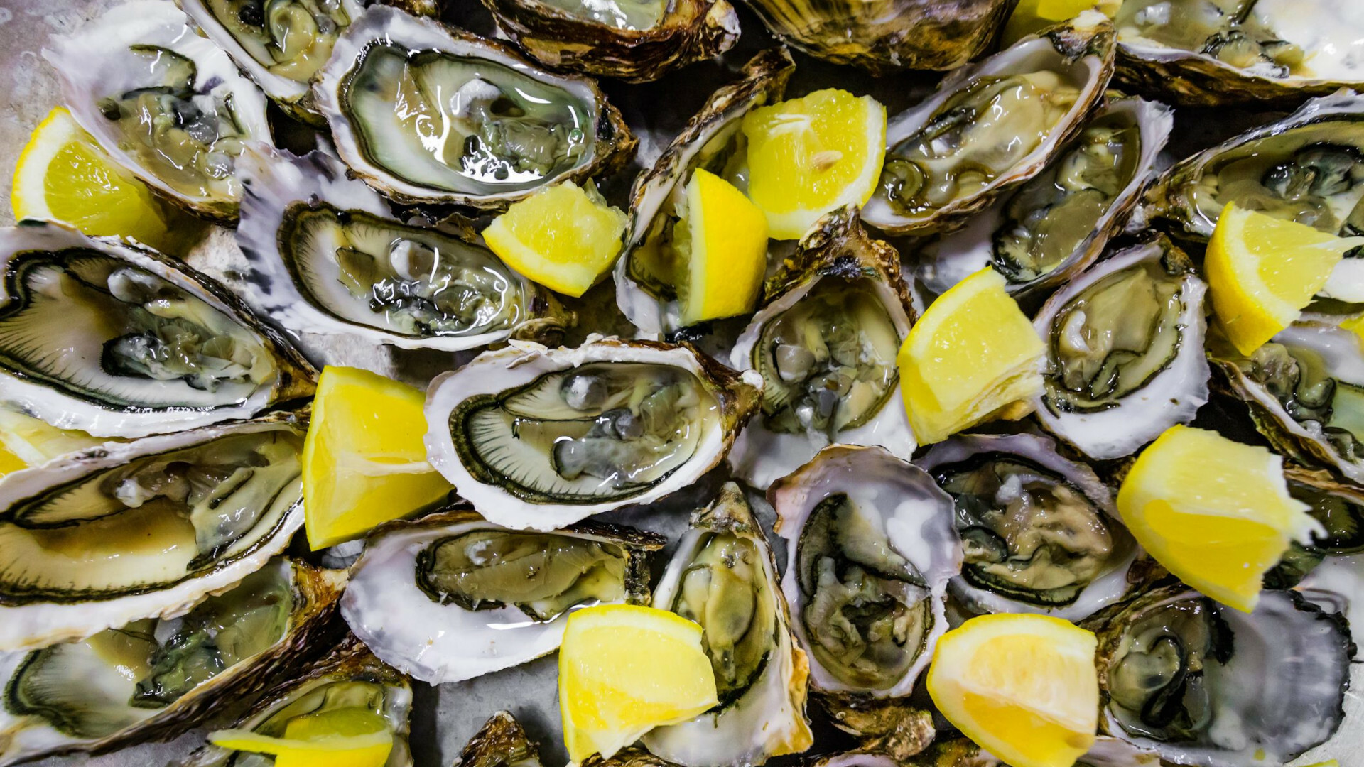 Best Oysters in Austin