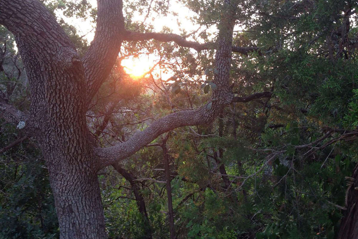 Mount Bonnell Austin gallery image 6