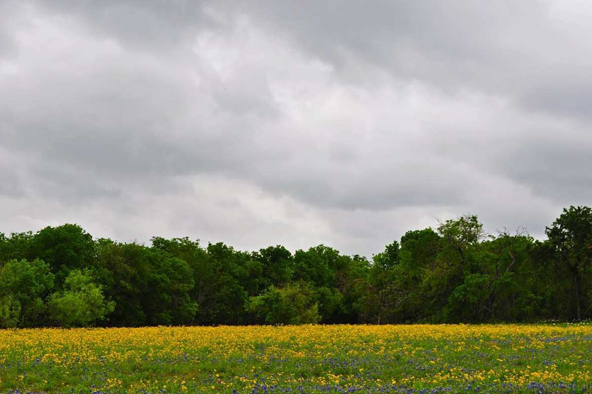 Mckinney Falls State Park gallery image 2
