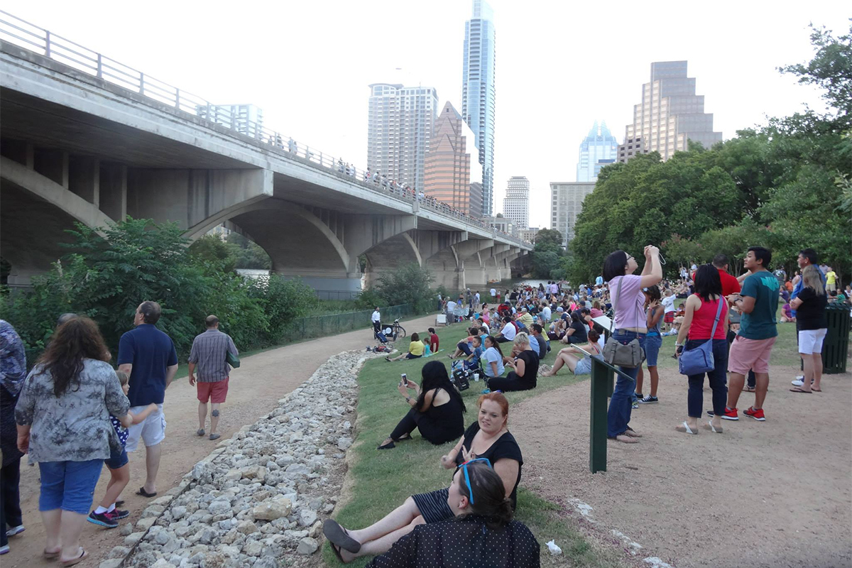 Congress Bridge Bats gallery image 10
