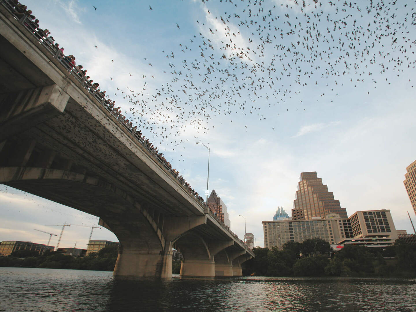 Five Fun and Free Sightseeing Activities in Austin