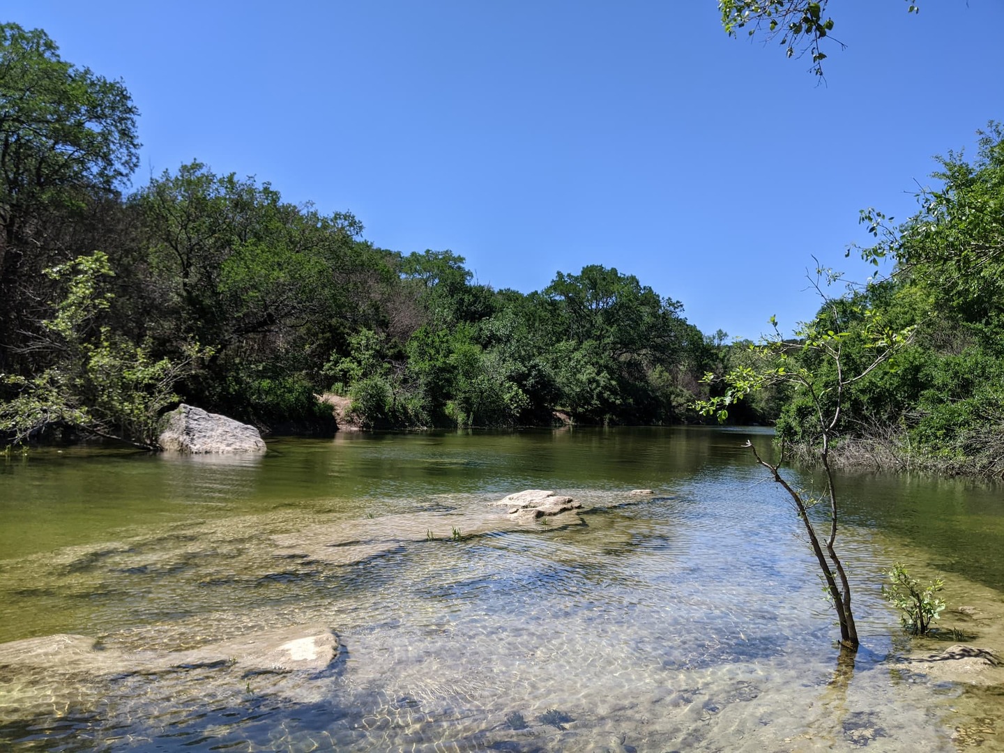 Austin's Best Natural Swimming Holes 